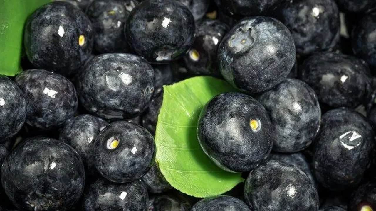 Foto - Yaban mersini beyaz saçlar için çözüm: Her gün 1 tane tüketin! Onlar masum görünüyor ama kanser riski yüksek 