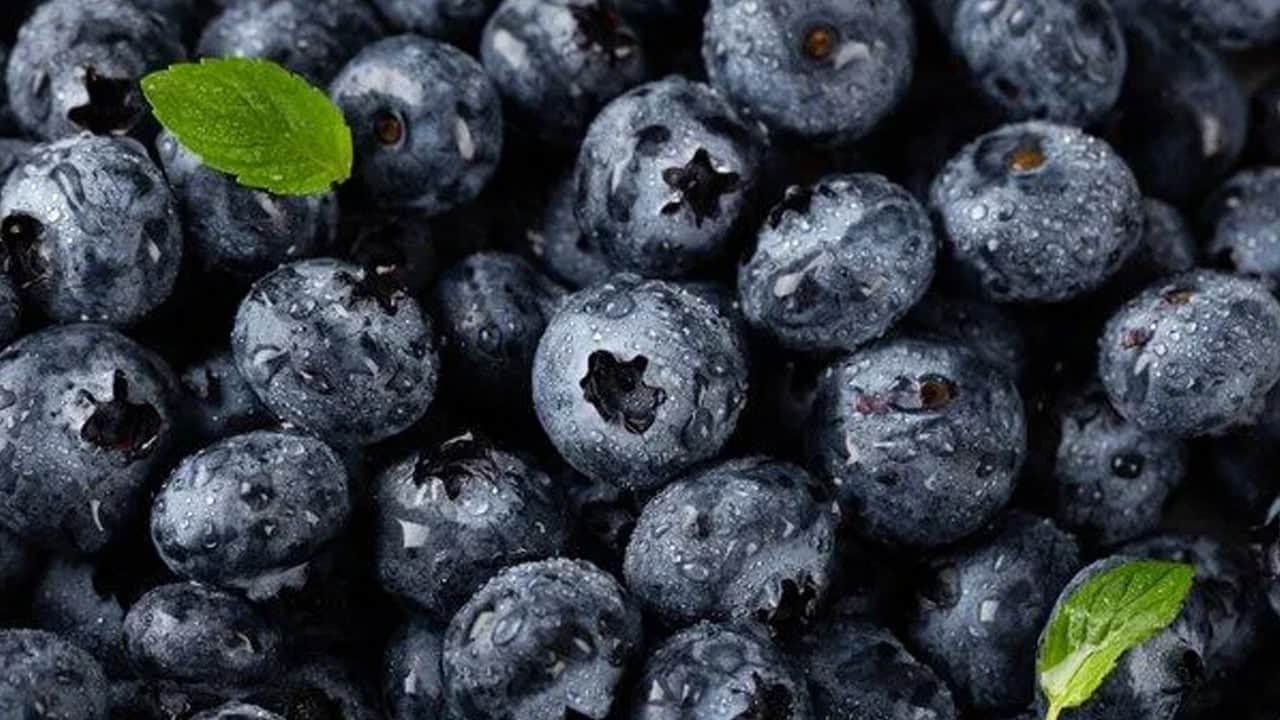 Foto - Yaban mersini beyaz saçlar için çözüm: Her gün 1 tane tüketin! Onlar masum görünüyor ama kanser riski yüksek 
