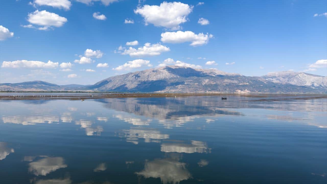 Yağışlar turizme olumlu yansıdı! Işıklı Gölü'nde ‘nilüfer mevsimi’ sonbahara uzadı