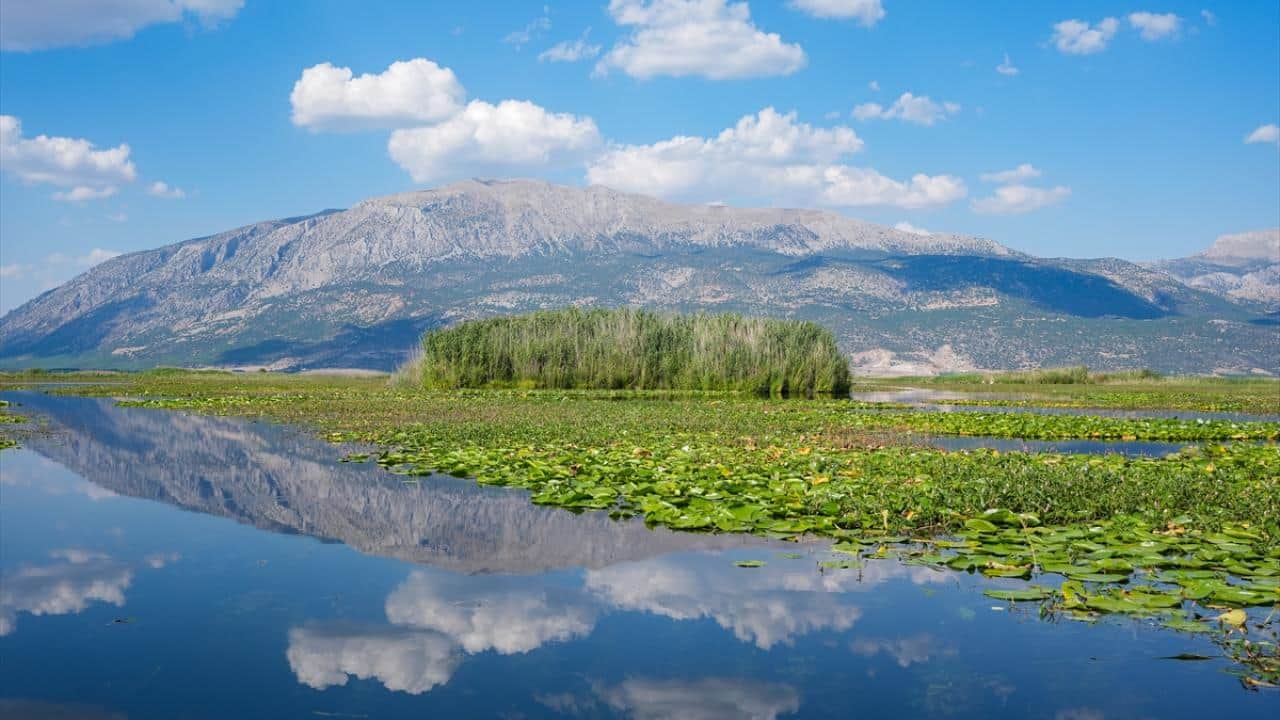 Foto - Yağışlar turizme olumlu yansıdı! Işıklı Gölü'nde ‘nilüfer mevsimi’ sonbahara uzadı
