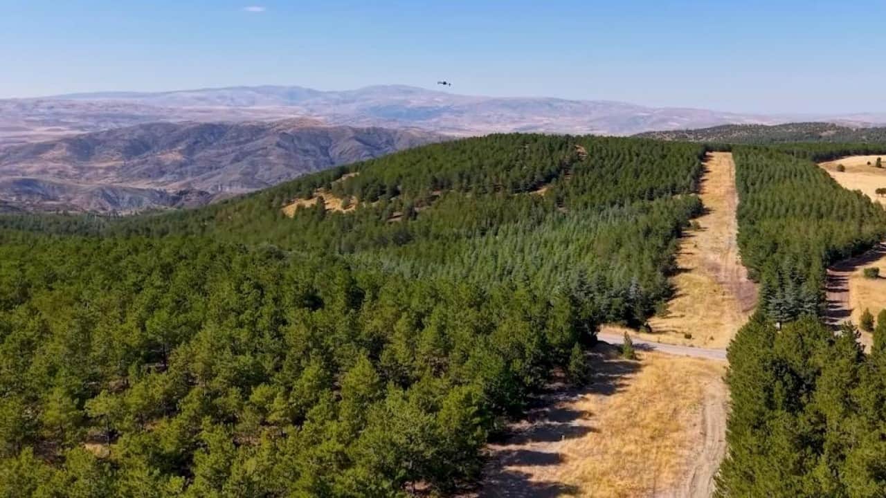 Foto - Yangın riskine karşı asker sahaya indi Yeşil vatana komando kalkanı 
