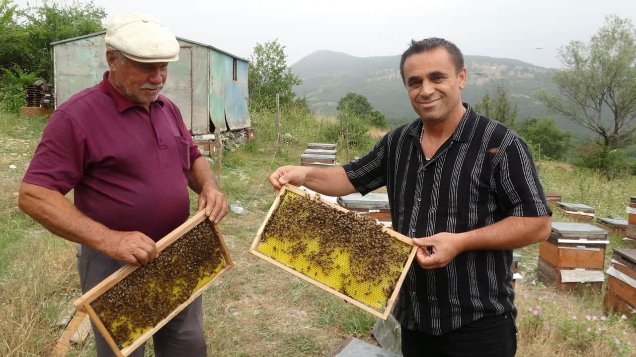 Foto - Yapay zeka bal üretimine de el attı! ‘Akıllı kovan’ ile üretim yüzde 40 arttı