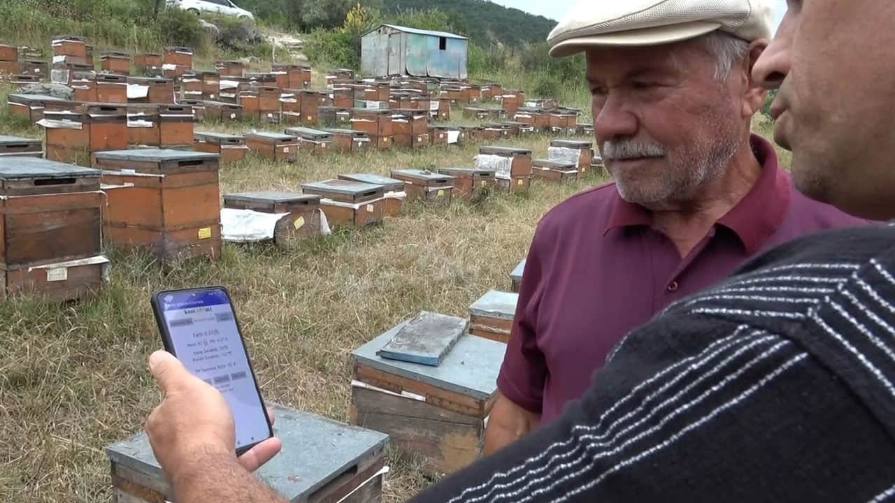 Foto - Yapay zeka bal üretimine de el attı! ‘Akıllı kovan’ ile üretim yüzde 40 arttı
