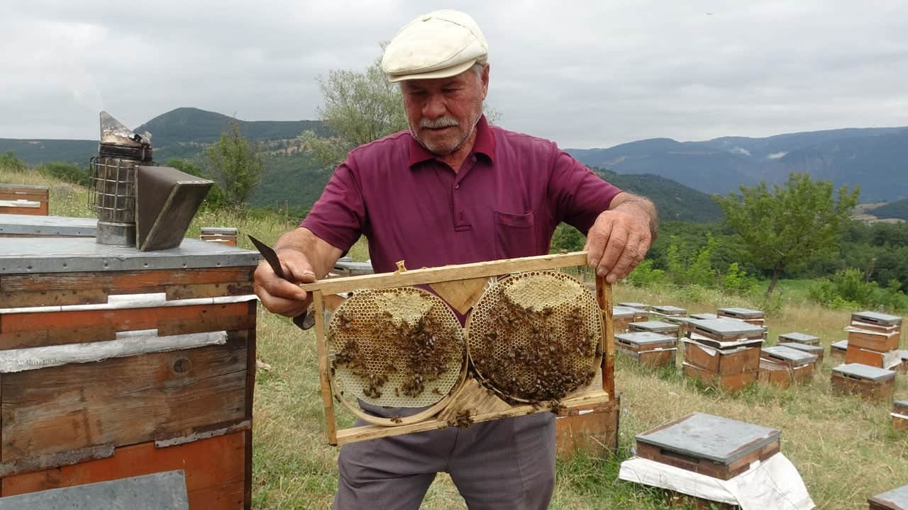 Foto - Yapay zeka bal üretimine de el attı! ‘Akıllı kovan’ ile üretim yüzde 40 arttı