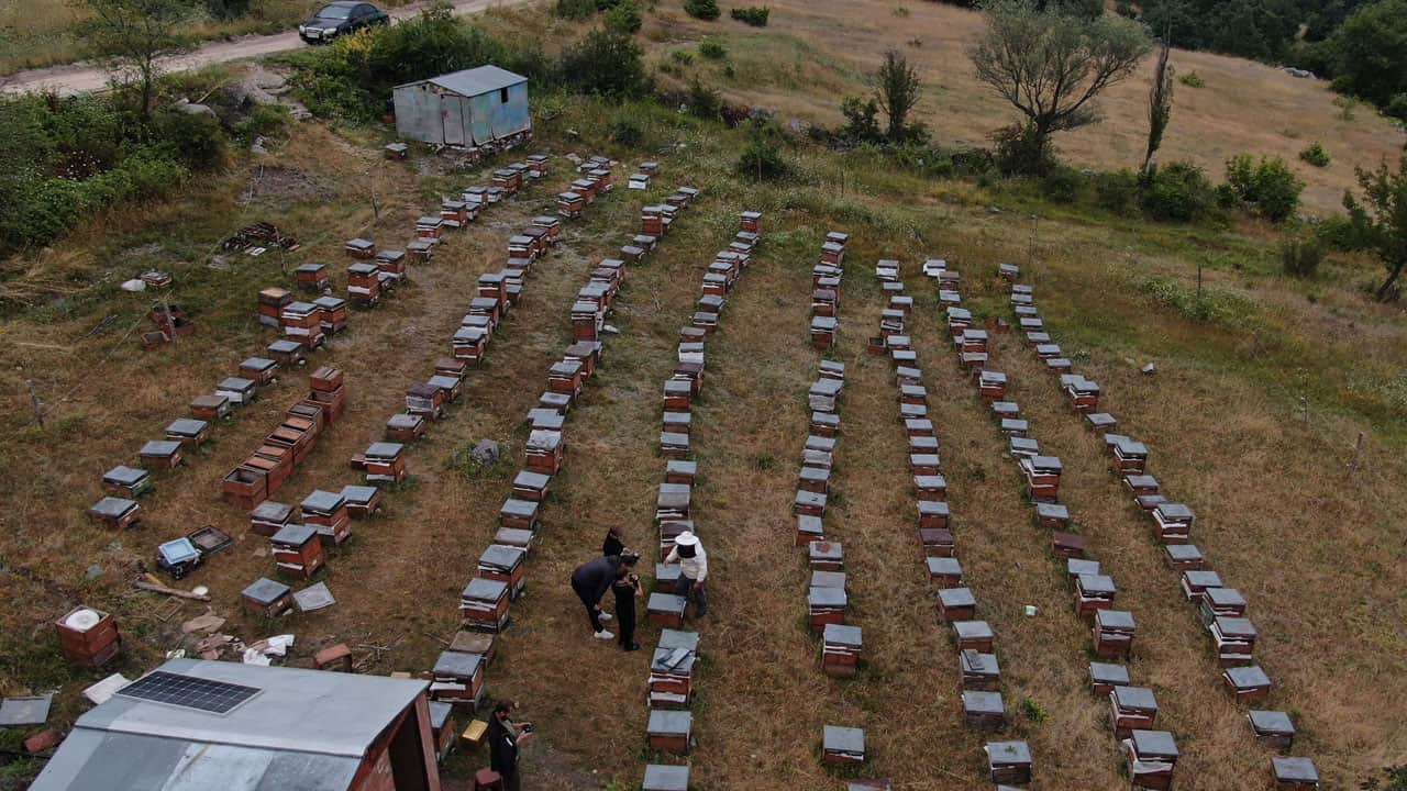Foto - Yapay zeka bal üretimine de el attı! ‘Akıllı kovan’ ile üretim yüzde 40 arttı