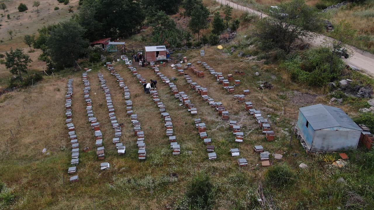 Foto - Yapay zeka bal üretimine de el attı! ‘Akıllı kovan’ ile üretim yüzde 40 arttı