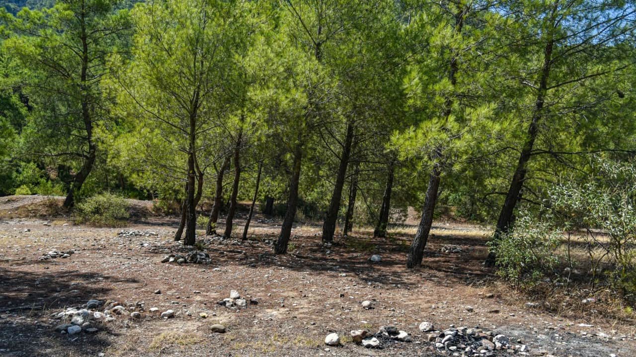 Foto - Yasağa rağmen ‘mangal' rezaleti Yüzlerce hektar orman bunlar yüzünden yanıyor