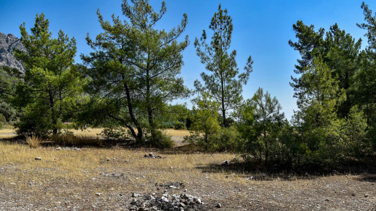 Foto - Yasağa rağmen ‘mangal' rezaleti Yüzlerce hektar orman bunlar yüzünden yanıyor