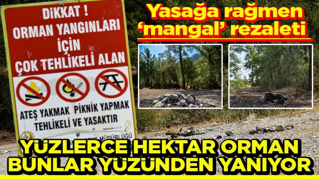 Yasağa rağmen ‘mangal' rezaleti Yüzlerce hektar orman bunlar yüzünden yanıyor