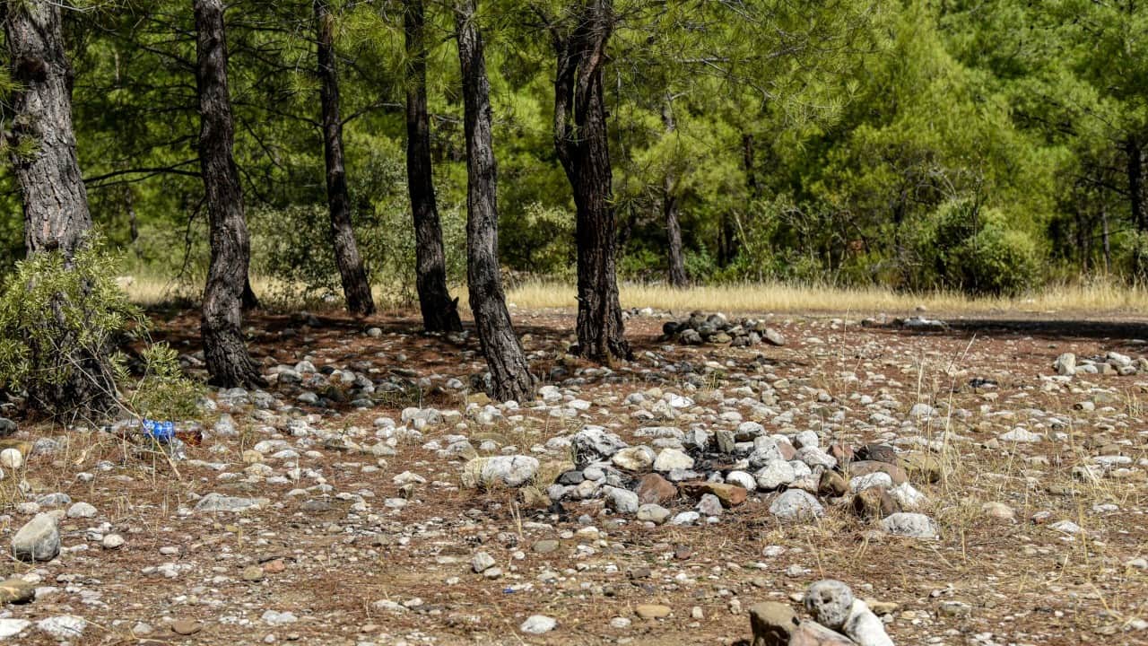 Foto - Yasağa rağmen ‘mangal' rezaleti Yüzlerce hektar orman bunlar yüzünden yanıyor