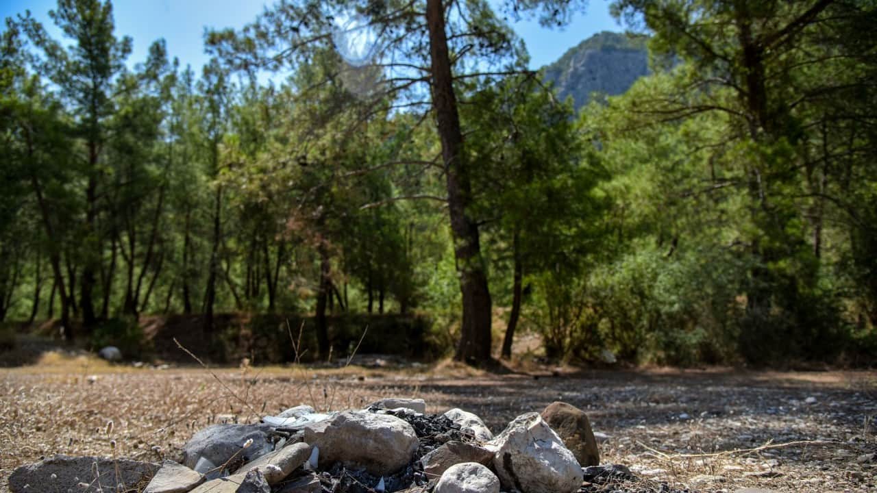 Foto - Yasağa rağmen ‘mangal' rezaleti Yüzlerce hektar orman bunlar yüzünden yanıyor