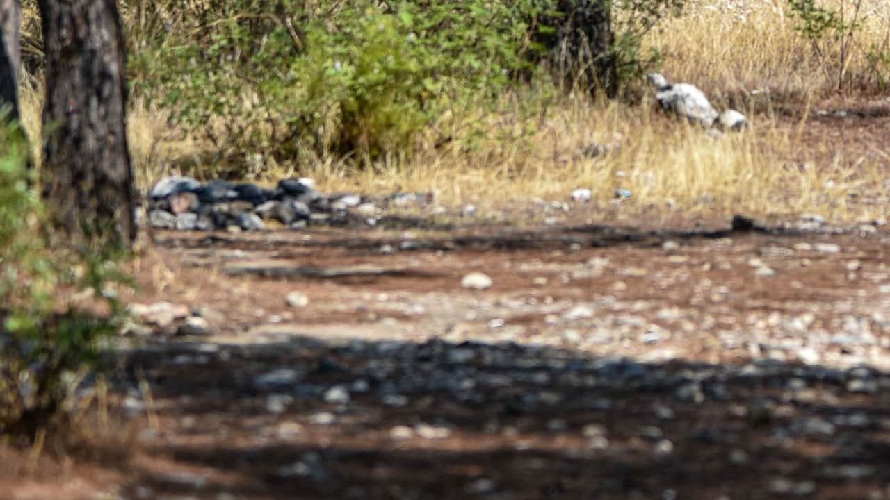 Foto - Yasağa rağmen ‘mangal' rezaleti Yüzlerce hektar orman bunlar yüzünden yanıyor