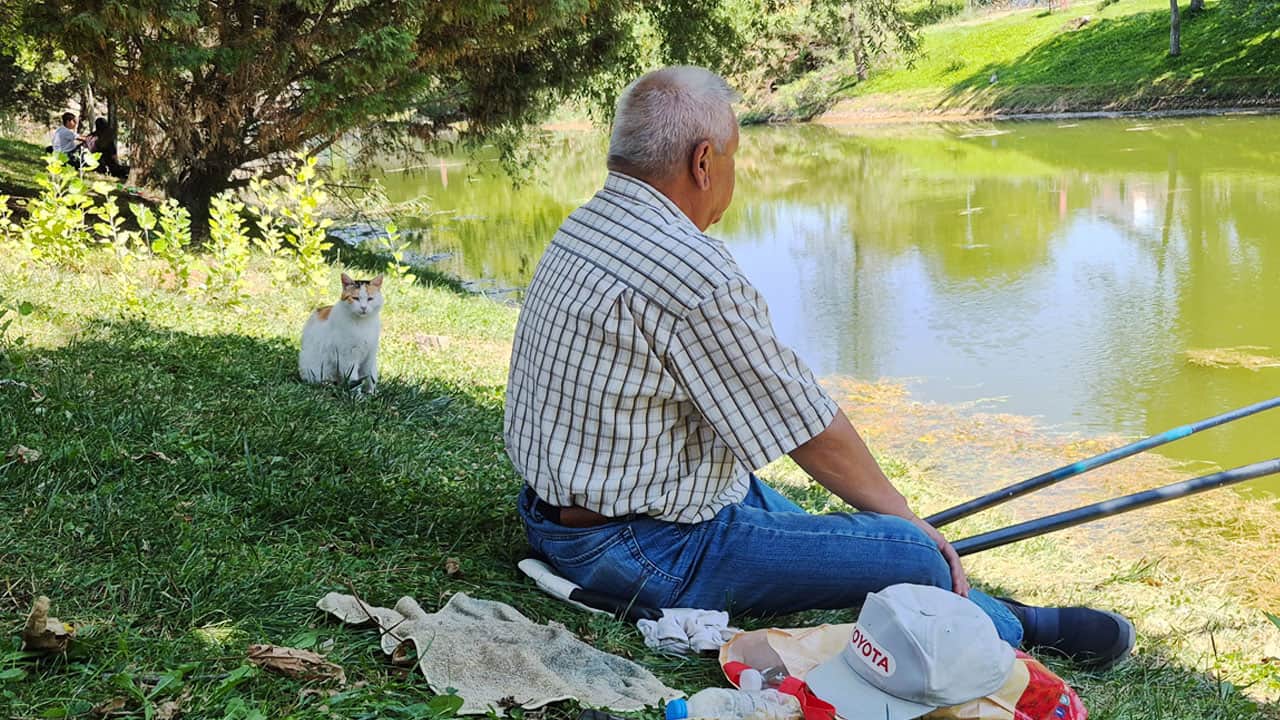 Foto - Yaşlı balıkçı ve akıllı kedi! Biri tuttu, diğeri yedi!