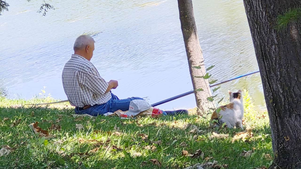 Yaşlı balıkçı ve akıllı kedi! Biri tuttu, diğeri yedi!