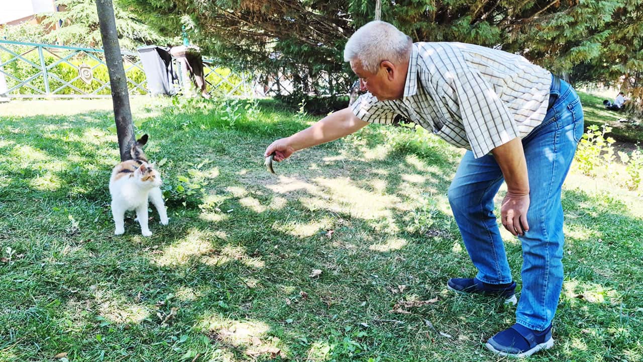 Foto - Yaşlı balıkçı ve akıllı kedi! Biri tuttu, diğeri yedi!