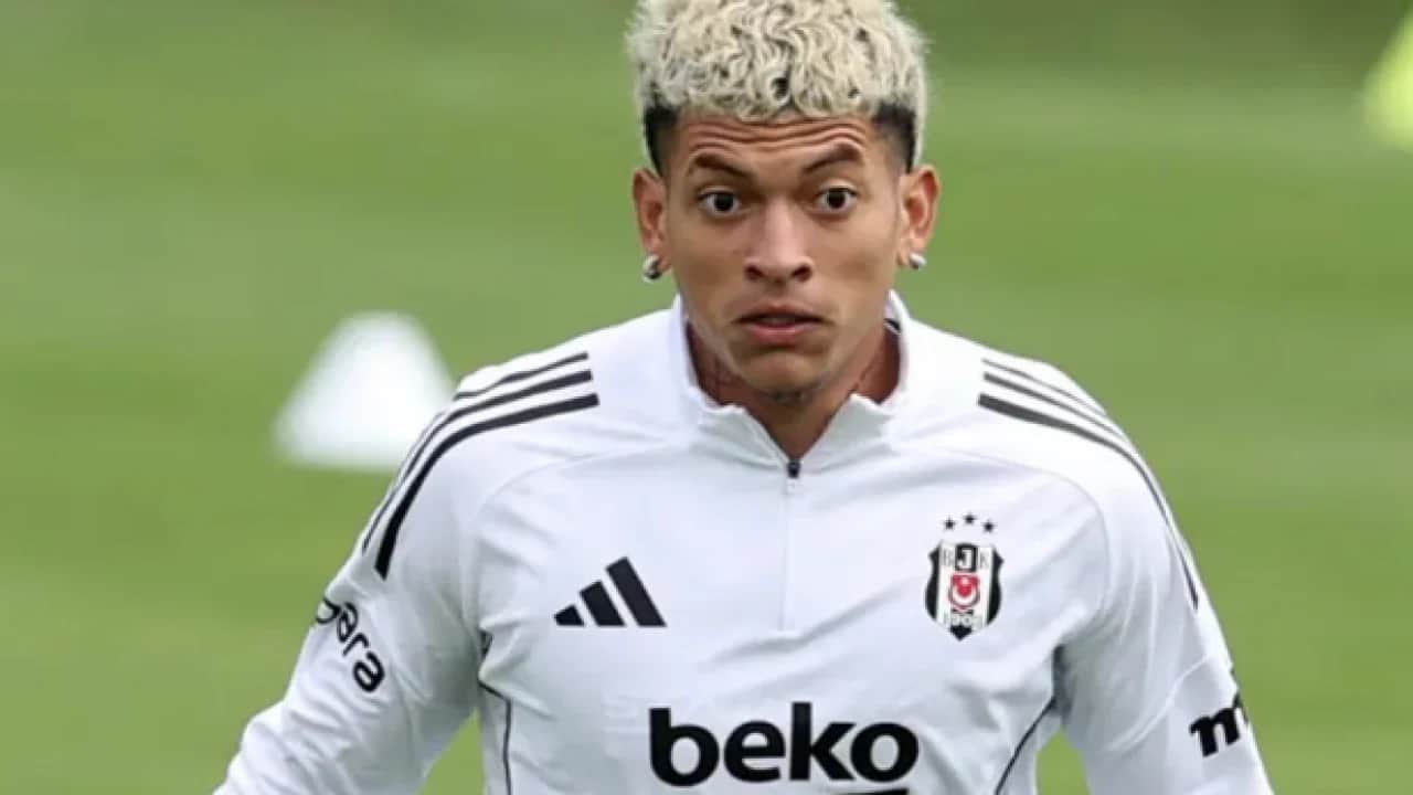 Yazık ki ne yazık: Elan Ricardo'da yaprak kımıldamıyor: Uzun vadeli sorun