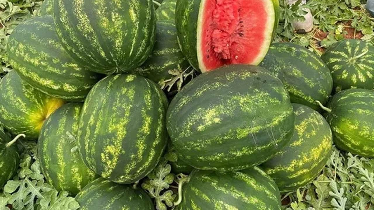 Foto - Yazın popüler ikilisi: Kronik rahatsızlığı olan şaştı kaldı! Karpuzun yanında bunu tüketen yandı