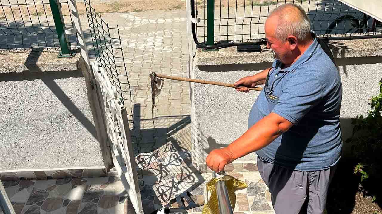 Foto - Yazlık sitede yılan istilası: Mahalleli panikte!