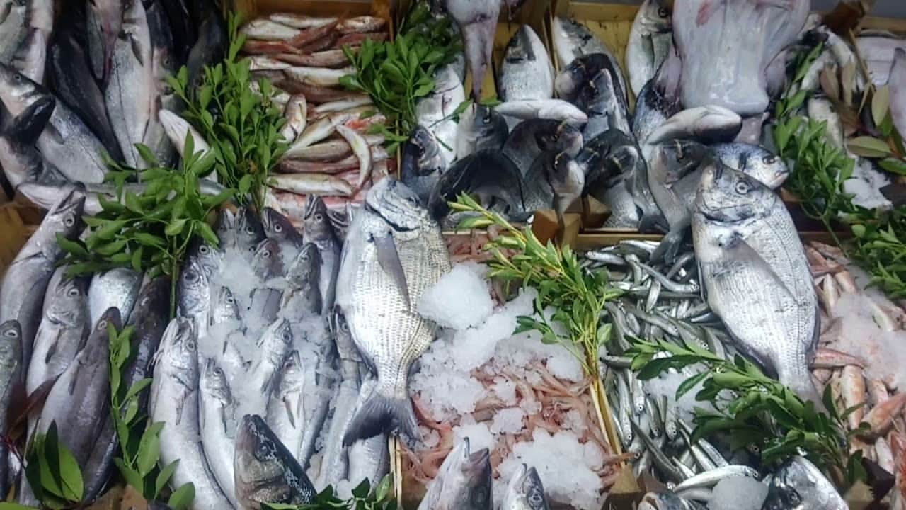 Foto - Yeni sezonda balık bolluğu!