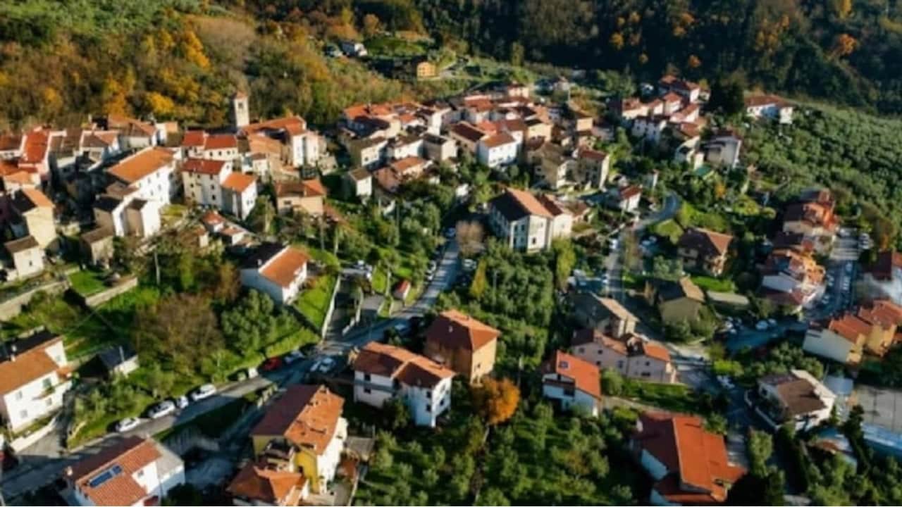 "Yeşil altın" hasadı için kapılarını açtılar: 150 nüfuslu köy, ücretsiz konaklama ve yemekle gönüllü arıyor