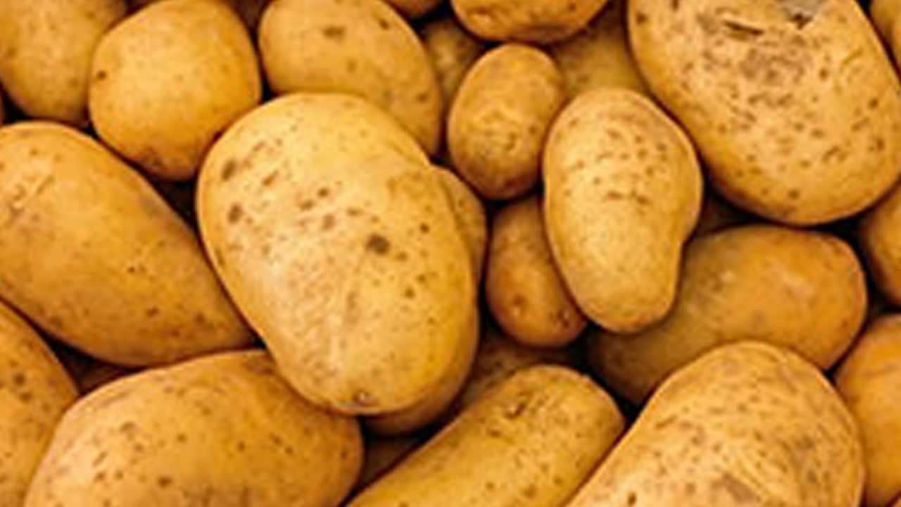 Foto - Yıllarca meğer hata yapıyormuşuz o meşhur patates kızartmasını sakın yemeyin, sağlığı tehdit ediyor!