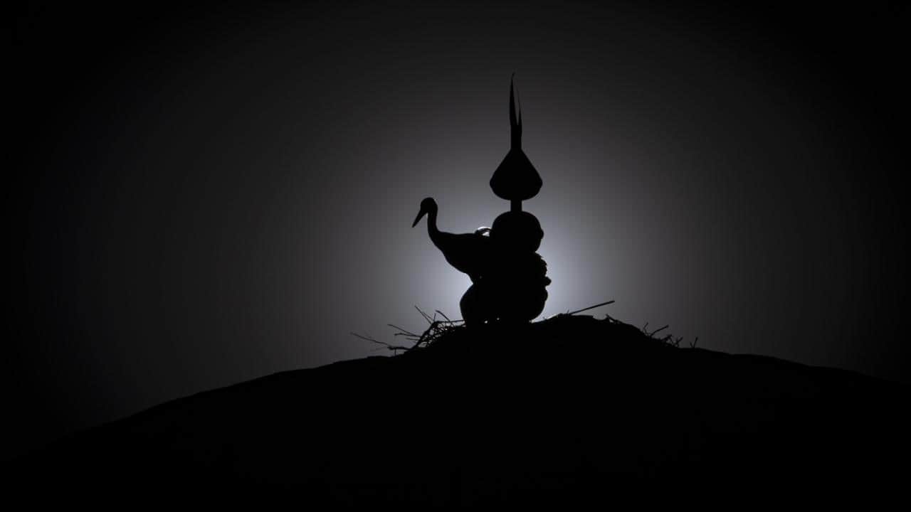 Foto - Yıllardır aynı yere geliyorlar! Cami leyleklere ‘yuva’ oldu