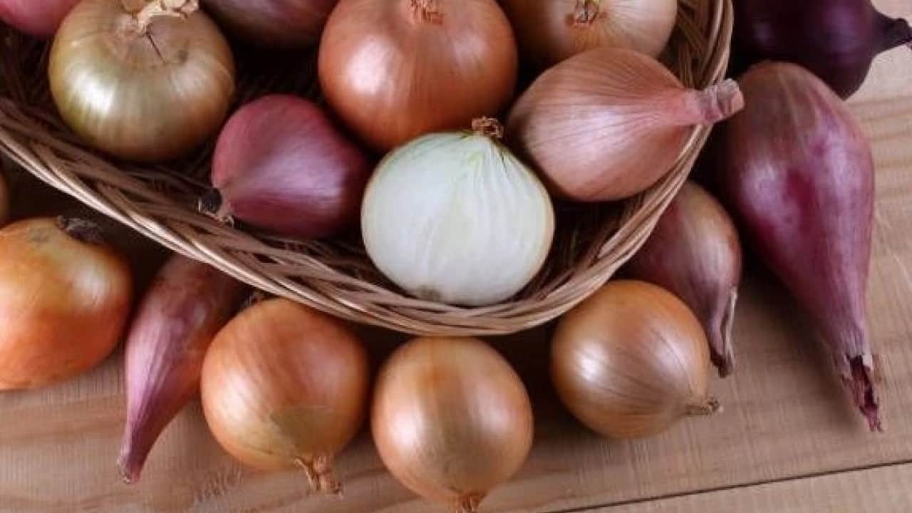 Foto - Yıllardır bu hatayı yapıyoruz! Soğan tüketirken bu hataya dikkat