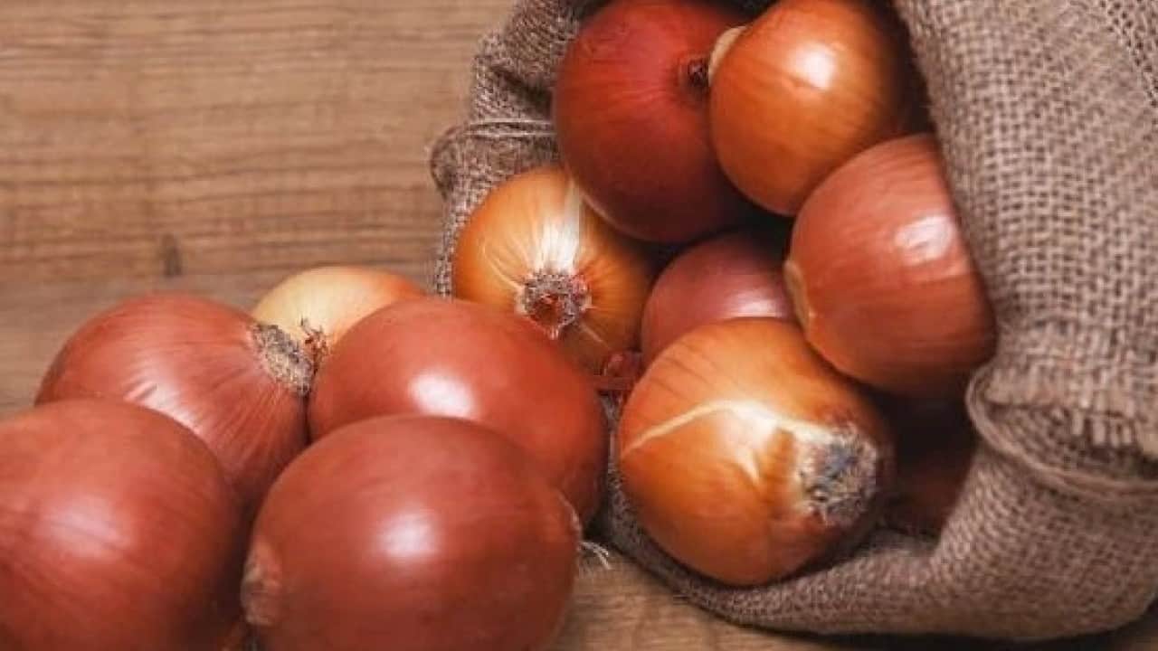 Foto - Yıllardır bu hatayı yapıyoruz! Soğan tüketirken bu hataya dikkat