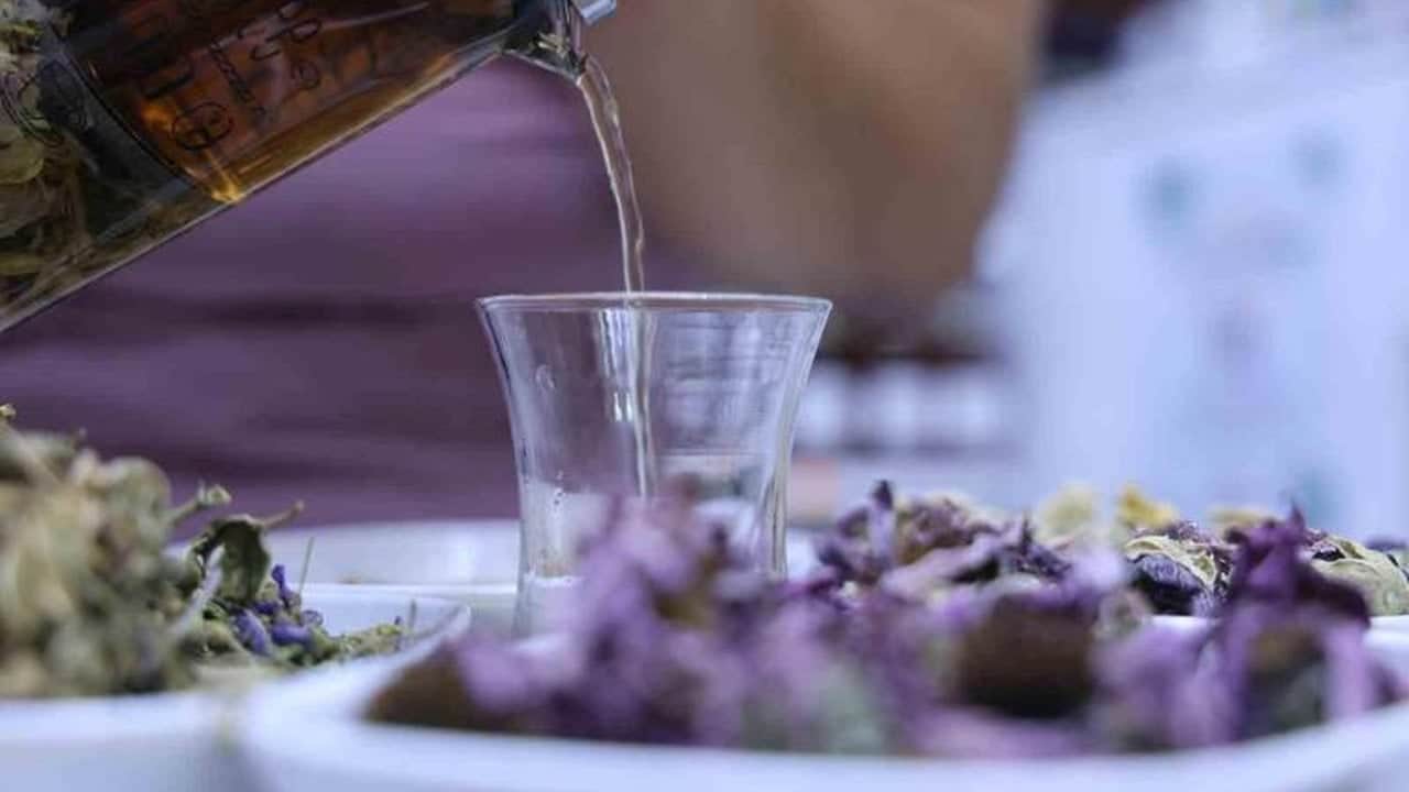 Foto - Yol kenarında yetişiyor, kilogramı 1500 liraya alıcı buluyor: Toplayan köşeyi dönüyor, aktarlar peşinde koşuyor