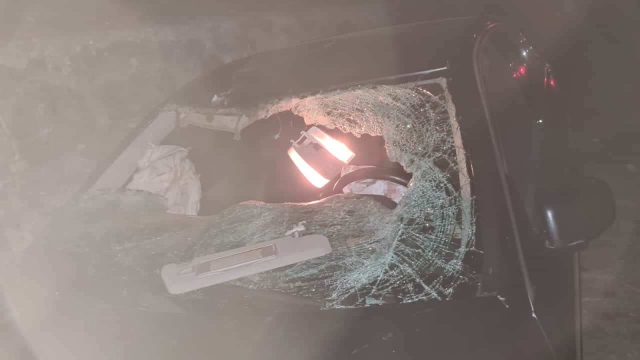 Yola fırlayan büyükbaş ortalığı savaş alanına çevirdi! Üç araç birbirine girdi, 6 yaralı!