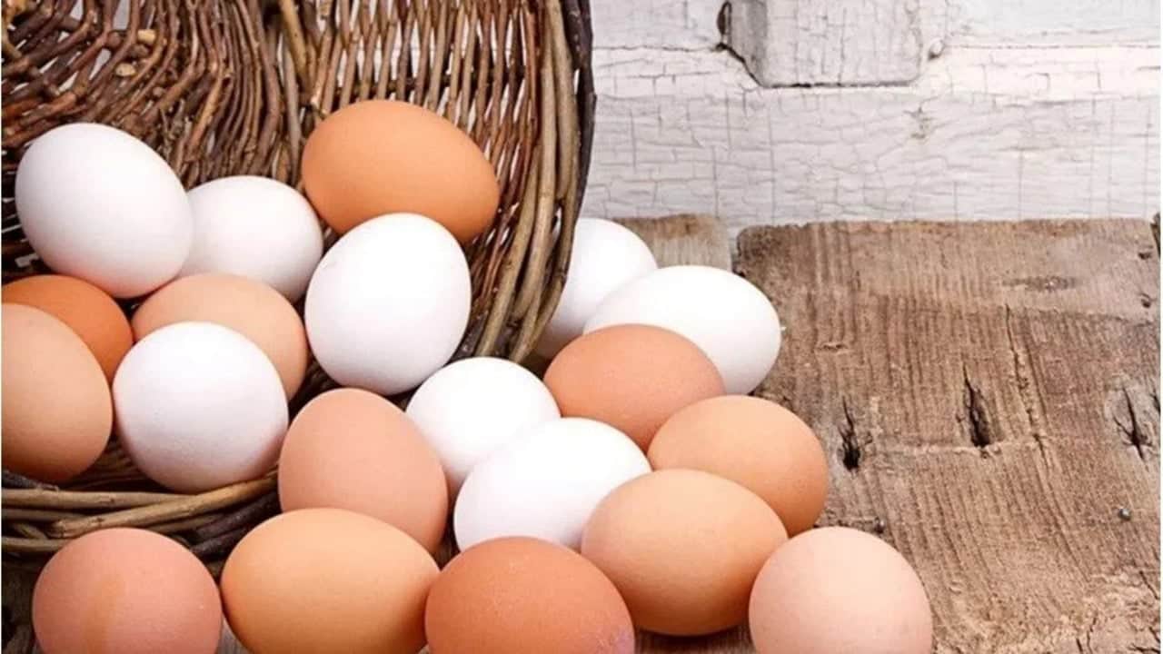 Foto - Yumurtada hastalık çıktı!