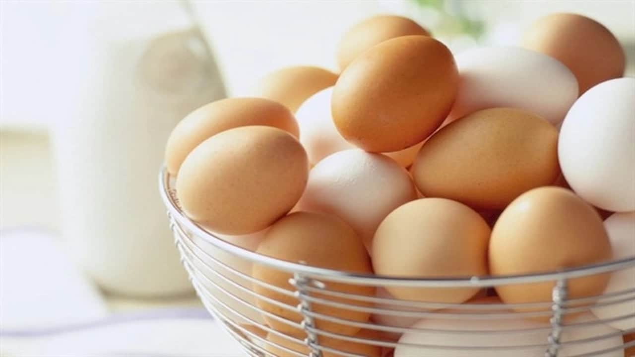 Foto - Yumurtada hastalık çıktı!