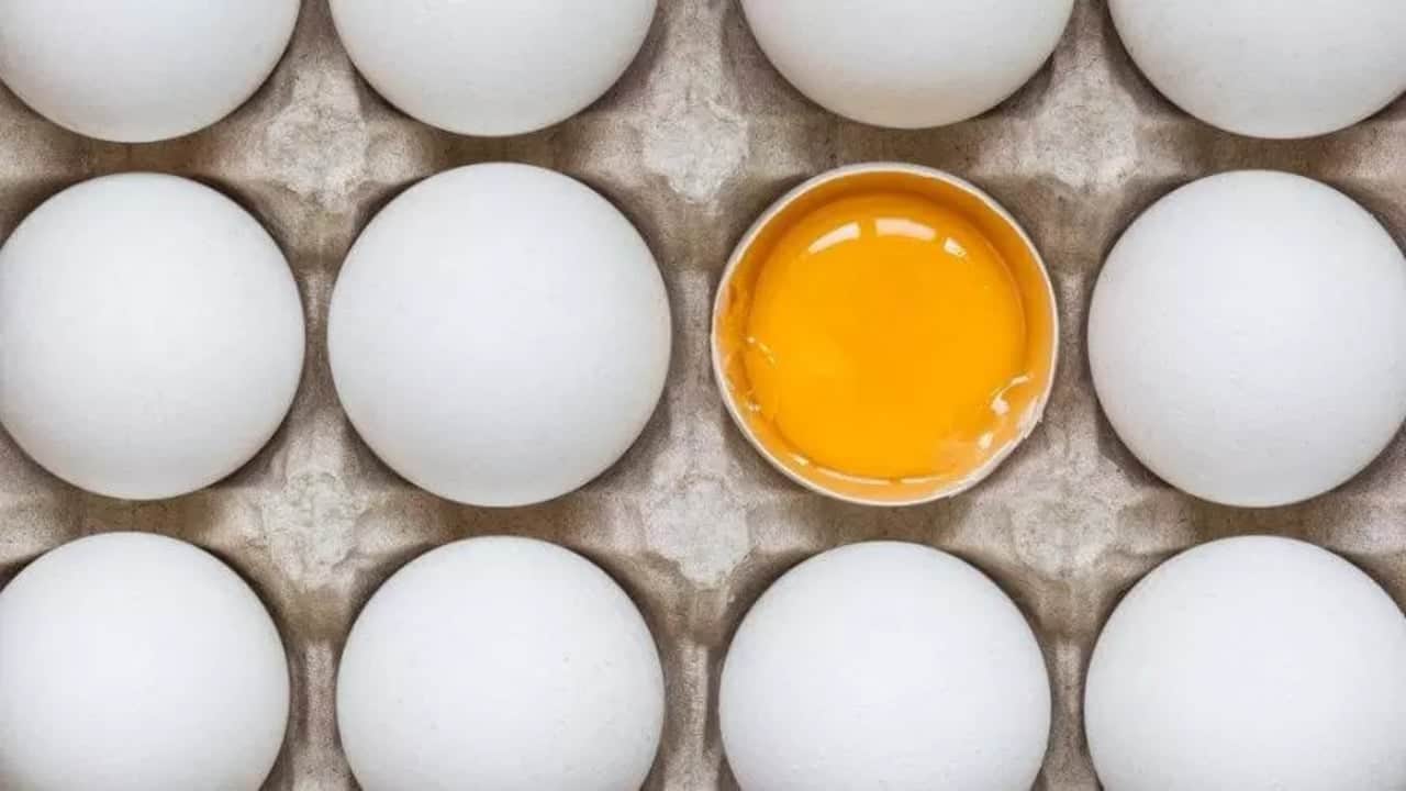 Foto - Yumurtada hastalık çıktı!