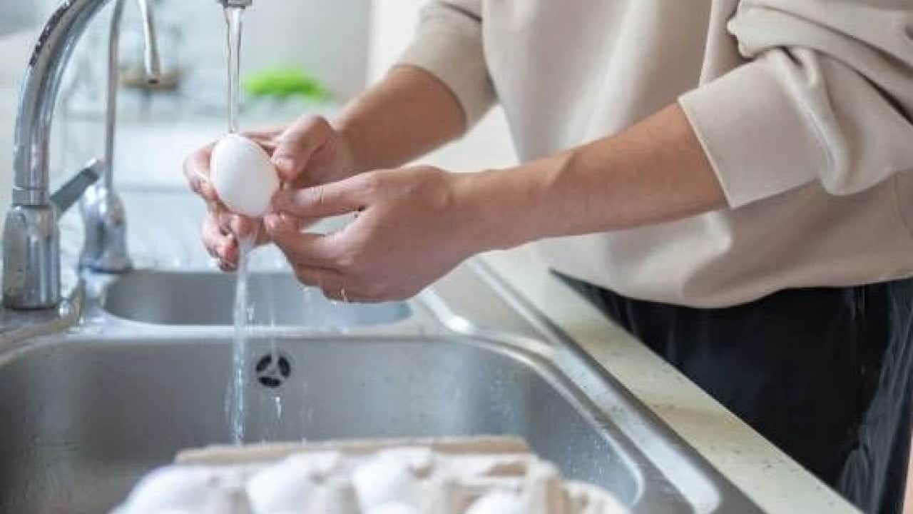 Foto - Yumurtayı yıkayanlar dikkat! Bu hata resmen zehirliyor