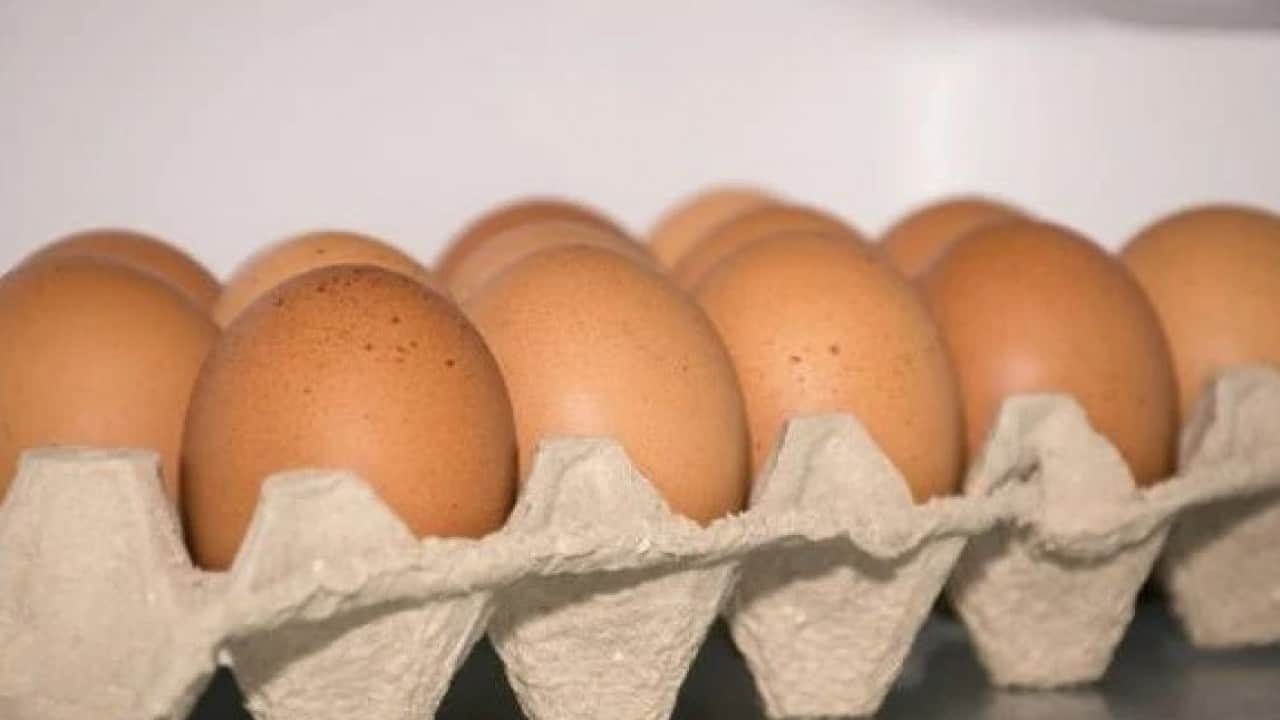 Foto - Yumurtayı yıkayanlar dikkat! Bu hata resmen zehirliyor