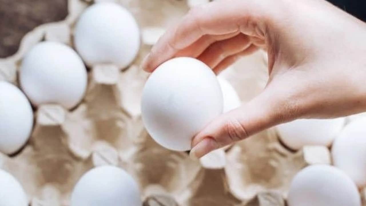 Foto - Yumurtayı yıkayanlar dikkat! Bu hata resmen zehirliyor
