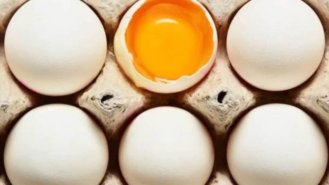 Foto - Yumurtayı yıkayanlar dikkat! Bu hata resmen zehirliyor