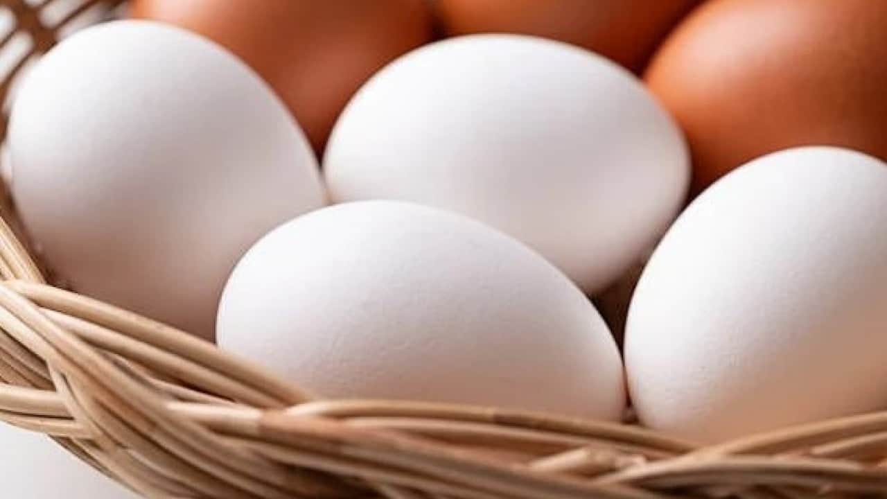 Foto - Yumurtayı yıkayanlar dikkat! Bu hata resmen zehirliyor