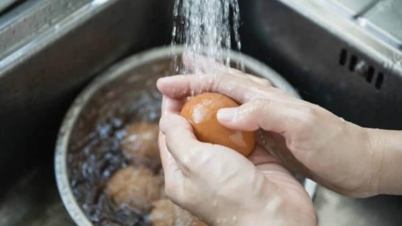 Foto - Yumurtayı yıkayanlar dikkat! Bu hata resmen zehirliyor