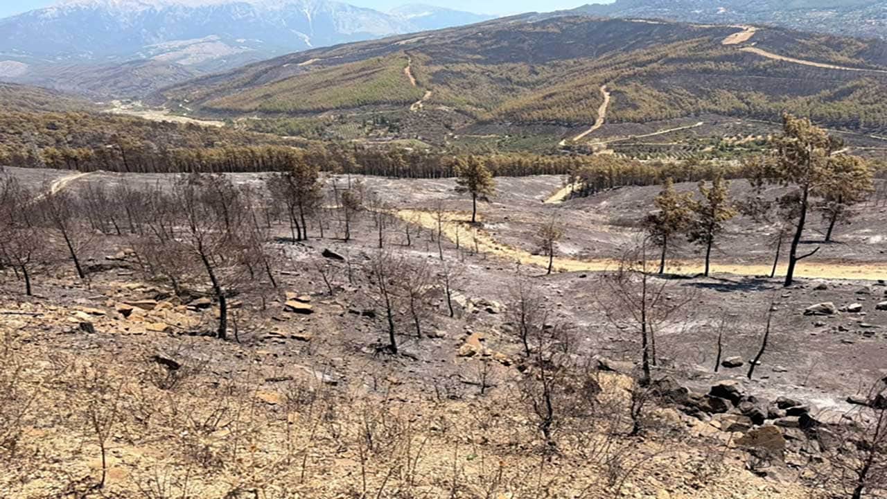 Foto - Yüreğimiz yandı! Yeşil cennetlerimiz küle döndü, acı bilanço gün yüzüne çıktı!