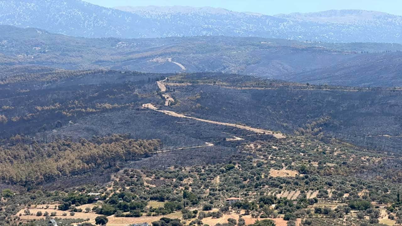 Foto - Yüreğimiz yandı! Yeşil cennetlerimiz küle döndü, acı bilanço gün yüzüne çıktı!