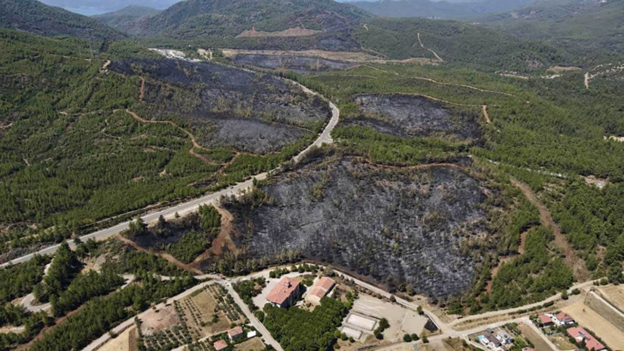 Foto - Yüreğimiz yandı! Yeşil cennetlerimiz küle döndü, acı bilanço gün yüzüne çıktı!