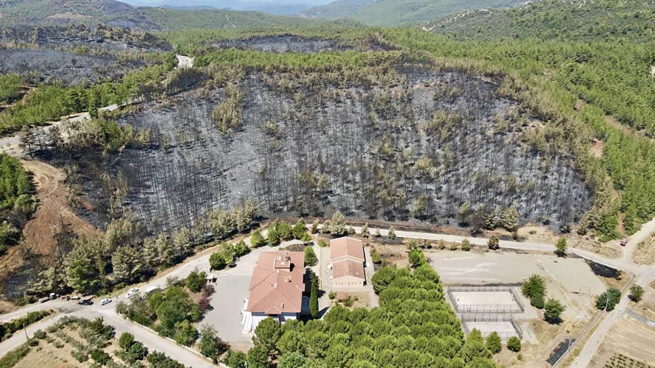 Foto - Yüreğimiz yandı! Yeşil cennetlerimiz küle döndü, acı bilanço gün yüzüne çıktı!