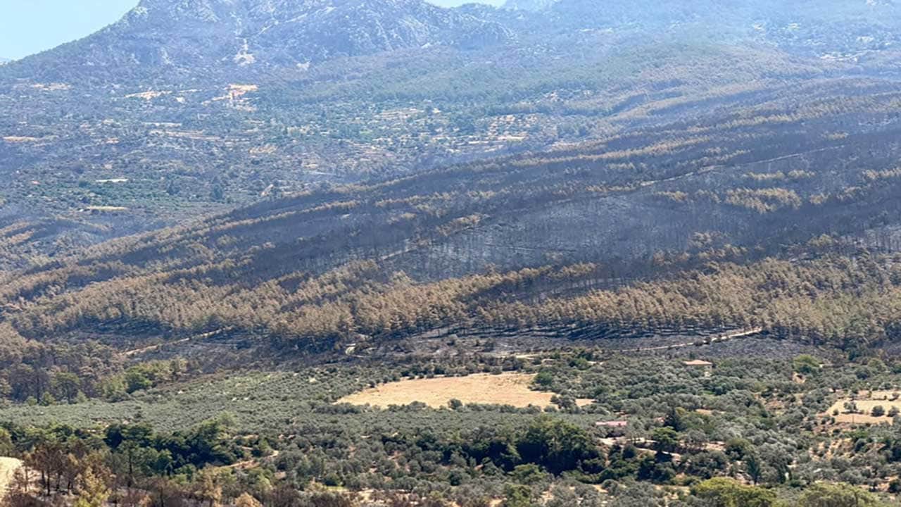 Foto - Yüreğimiz yandı! Yeşil cennetlerimiz küle döndü, acı bilanço gün yüzüne çıktı!