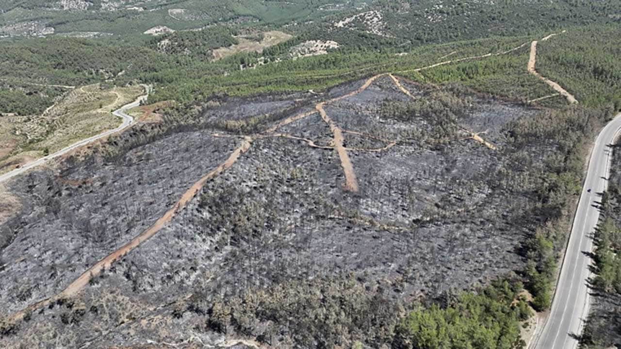 Foto - Yüreğimiz yandı! Yeşil cennetlerimiz küle döndü, acı bilanço gün yüzüne çıktı!