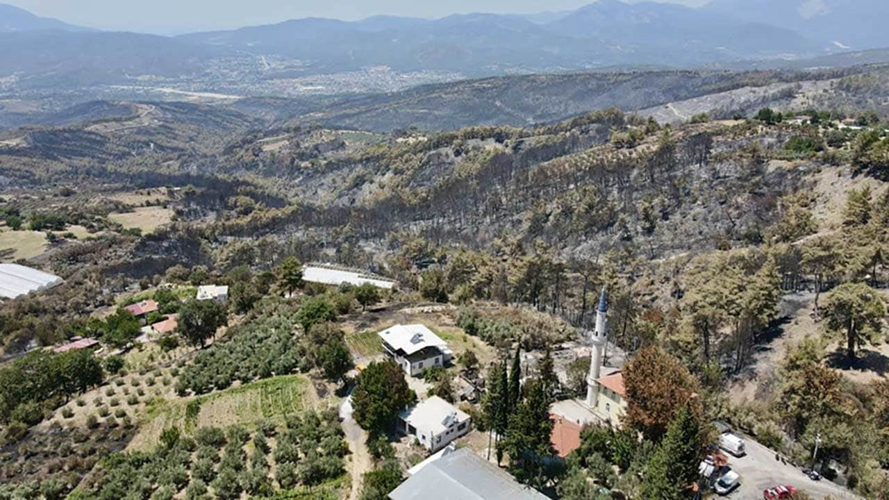 Foto - Yüreğimiz yandı! Yeşil cennetlerimiz küle döndü, acı bilanço gün yüzüne çıktı!