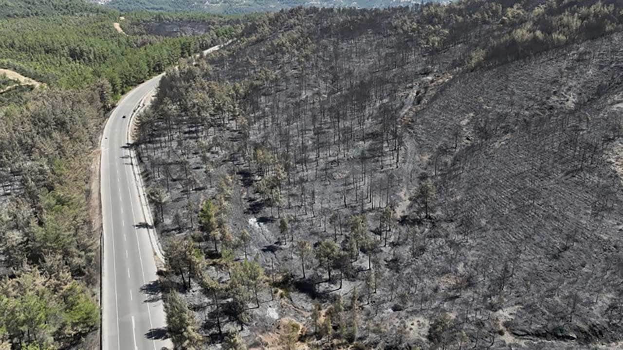 Foto - Yüreğimiz yandı! Yeşil cennetlerimiz küle döndü, acı bilanço gün yüzüne çıktı!