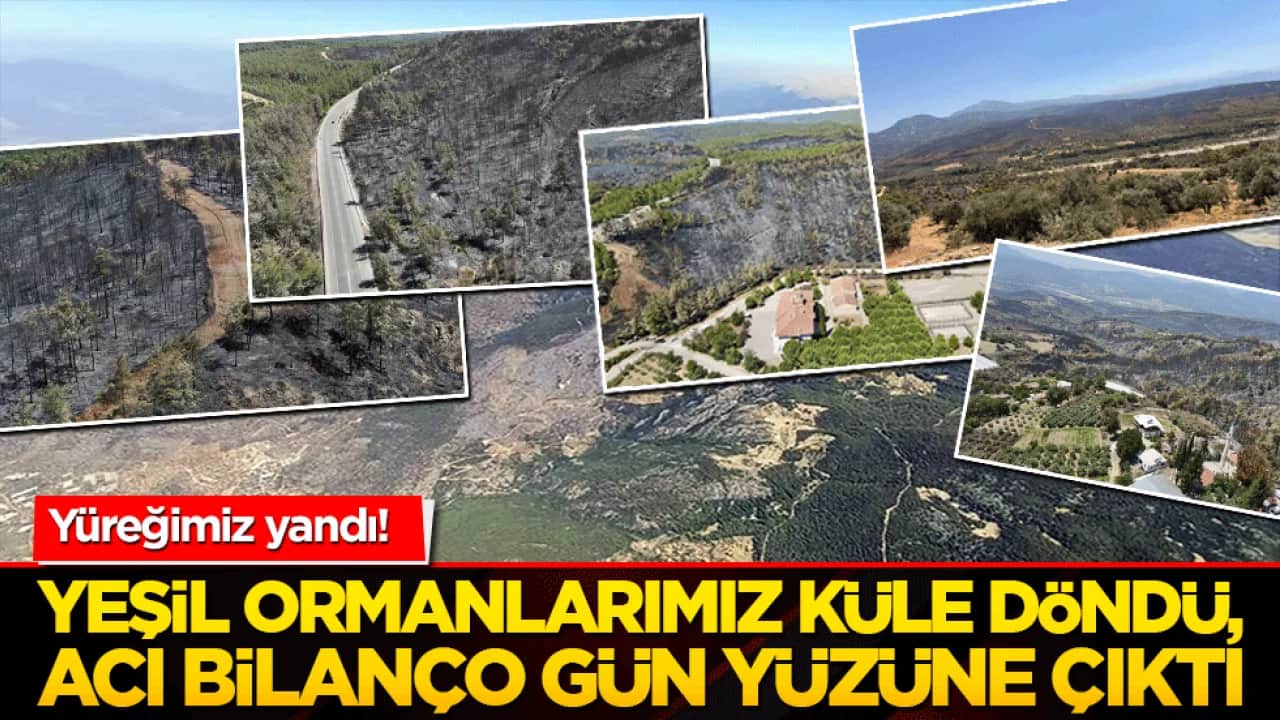 Yüreğimiz yandı! Yeşil cennetlerimiz küle döndü, acı bilanço gün yüzüne çıktı!