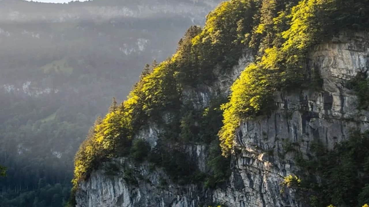 Foto - Zenginler için 'kıyamet sığınağı' inşa ediyorlar! Felaket anında hem kendilerini hem servetlerini saklayacaklar