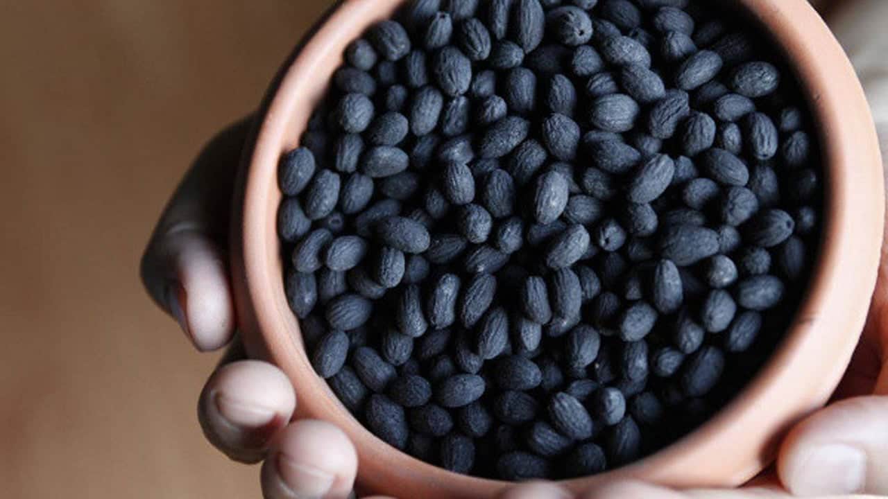 Foto - Zeytin çekirdeği neden atılmamalı? İbrahim Saraçoğlu tavsiye etti... 